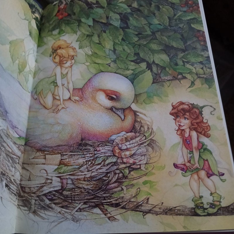 Fairy dust and the quest for the egg