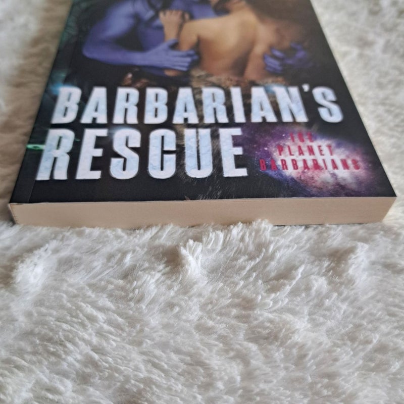 Barbarian's Rescue