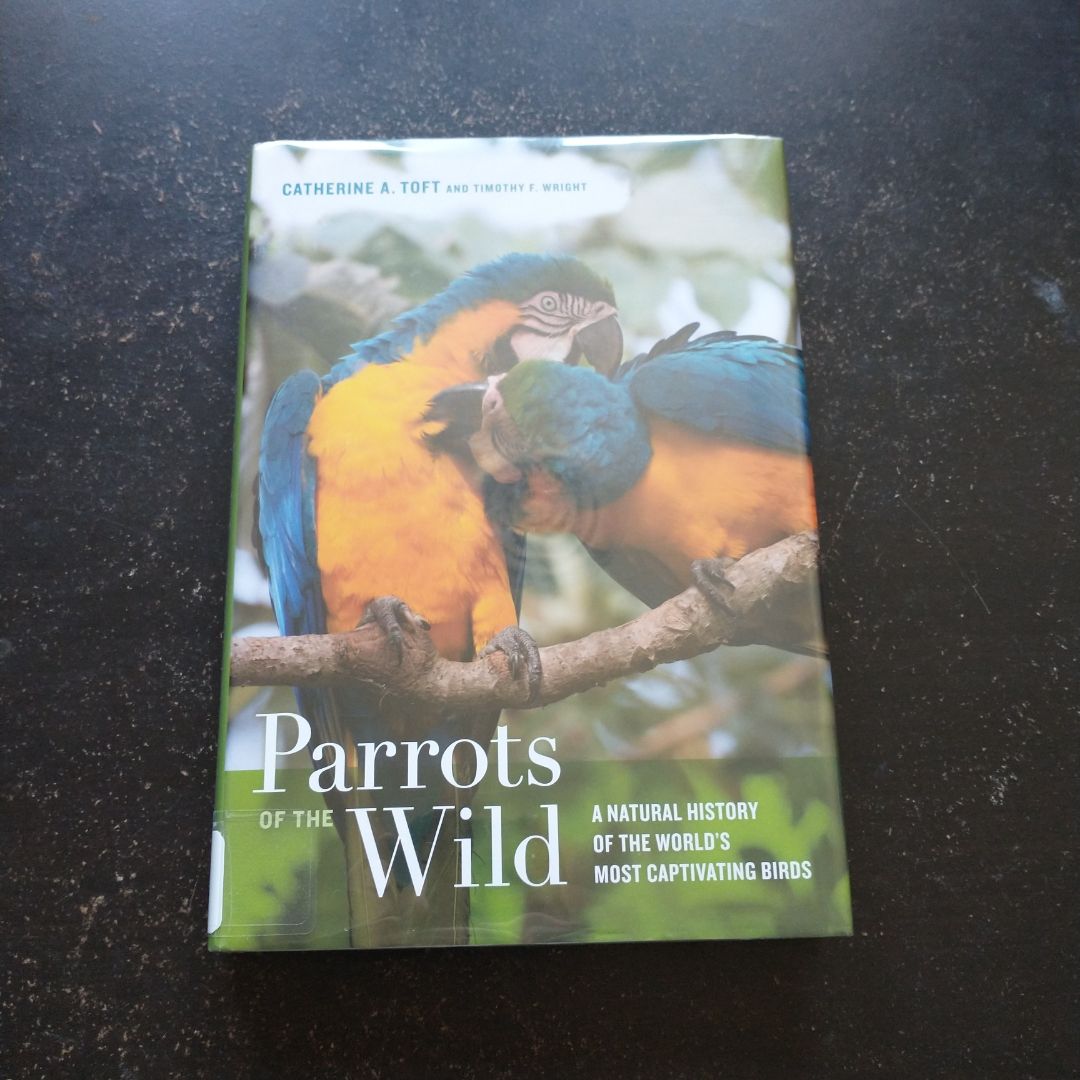 Parrots of the Wild