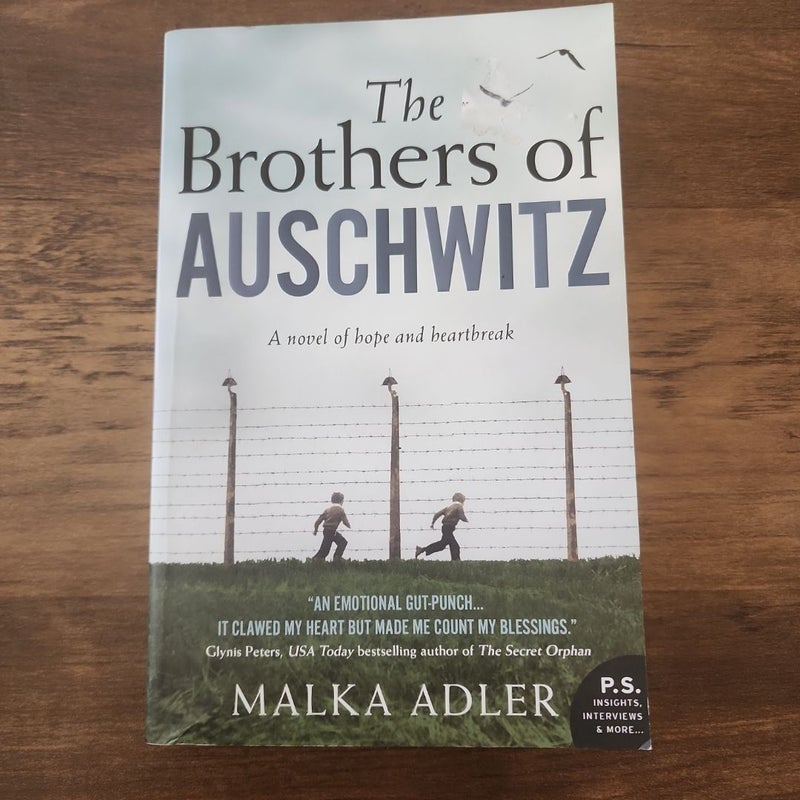 The Brothers of Auschwitz