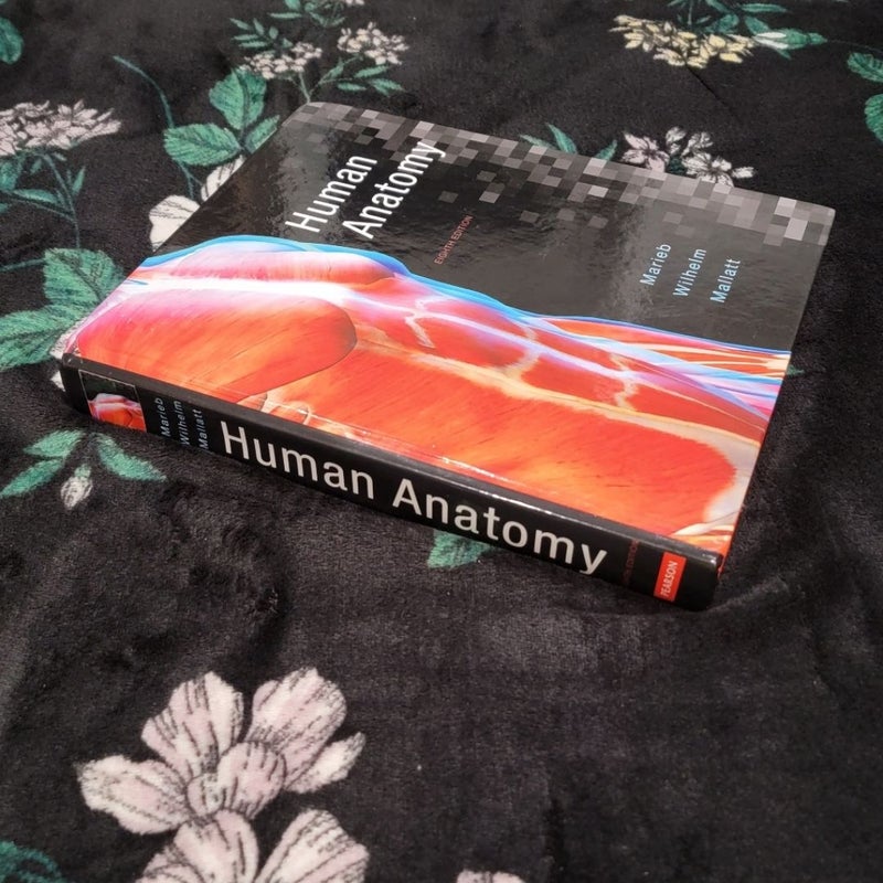 Human Anatomy