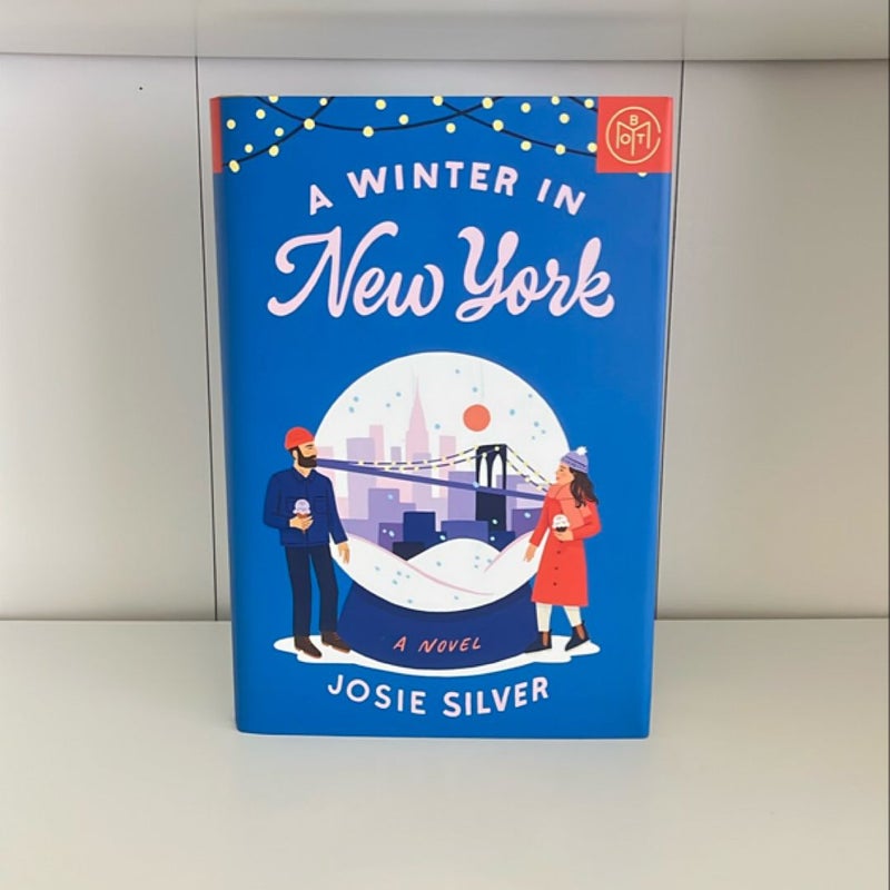 A Winter in New York