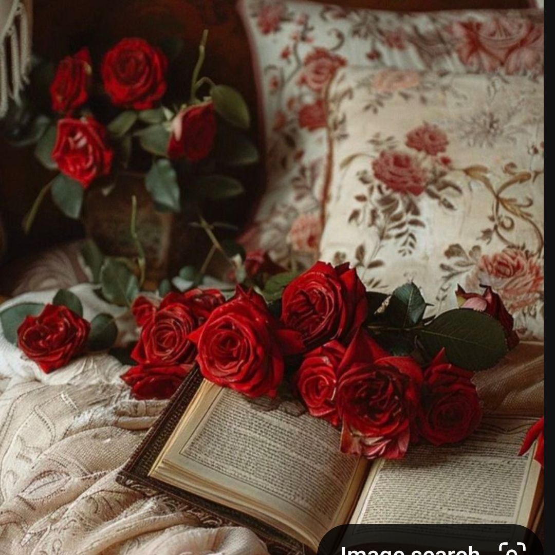 The Cozy inn book store