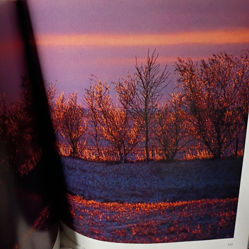 Christmas in America