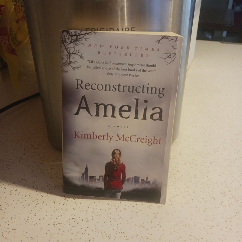 Reconstructing Amelia