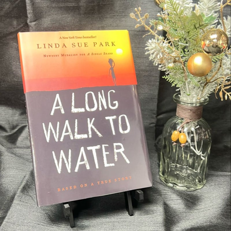 A Long Walk to Water