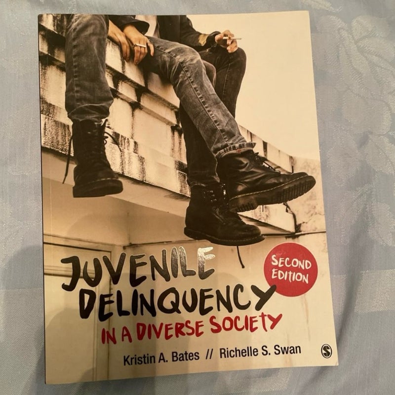 Juvenile Delinquency in a Diverse Society