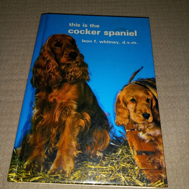 This is The Cocker Spaniel