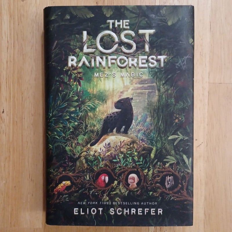 The Lost Rainforest #1: Mez's Magic