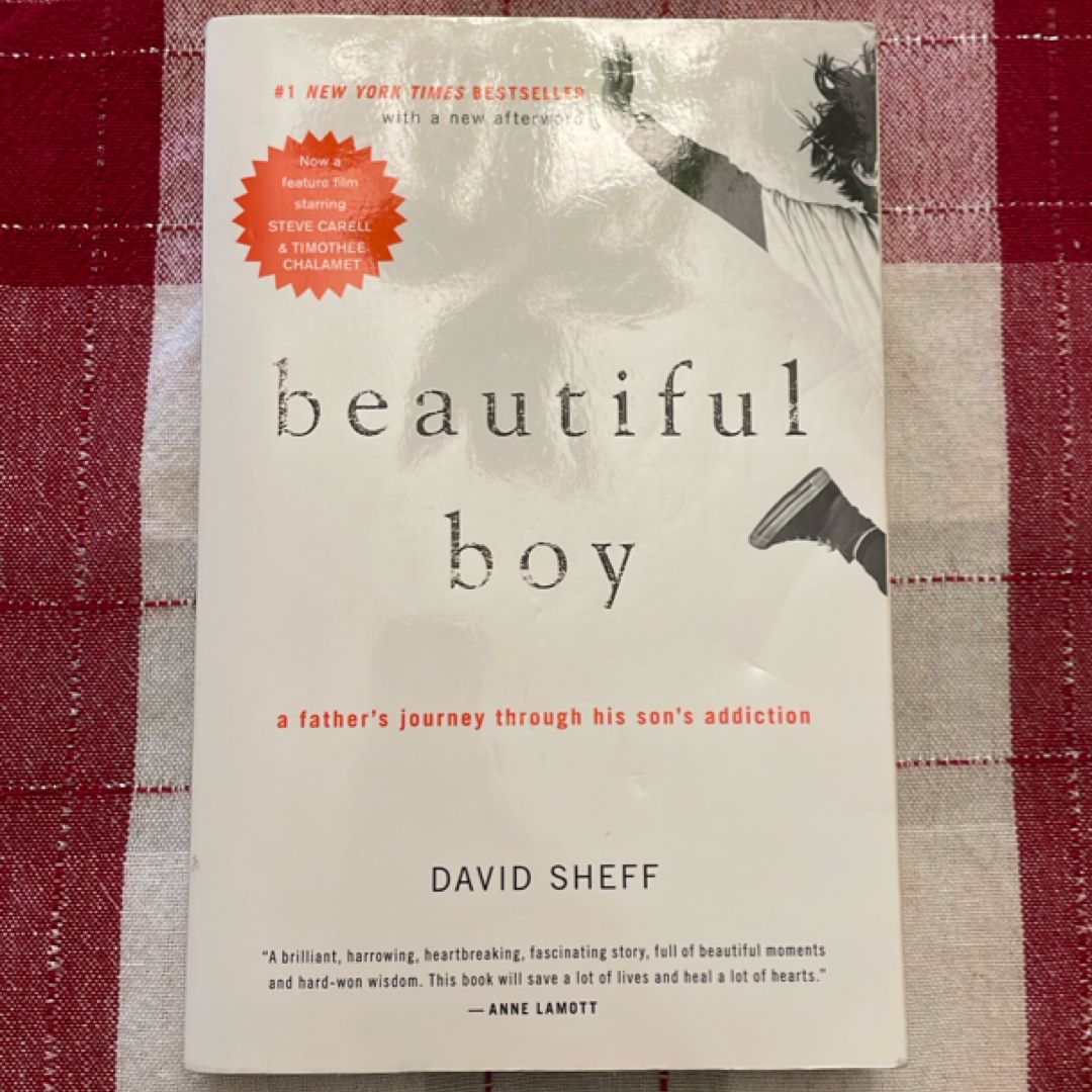 Beautiful Boy: A Father's Journey Through His Son's Addiction By David Sheff – Paperback, 2009