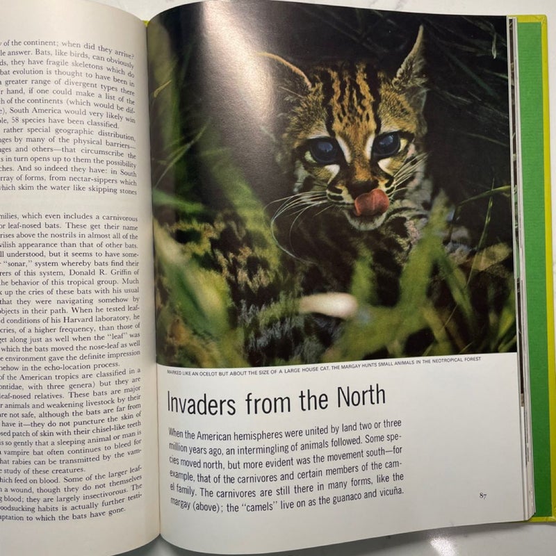 The Land and Wildlife of South America