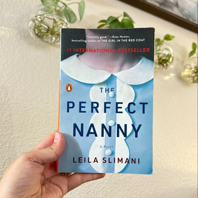 The Perfect Nanny