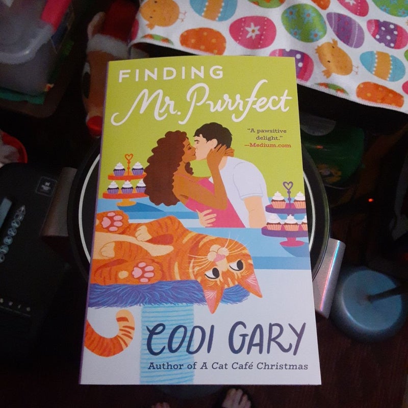 Finding Mr. Purrfect