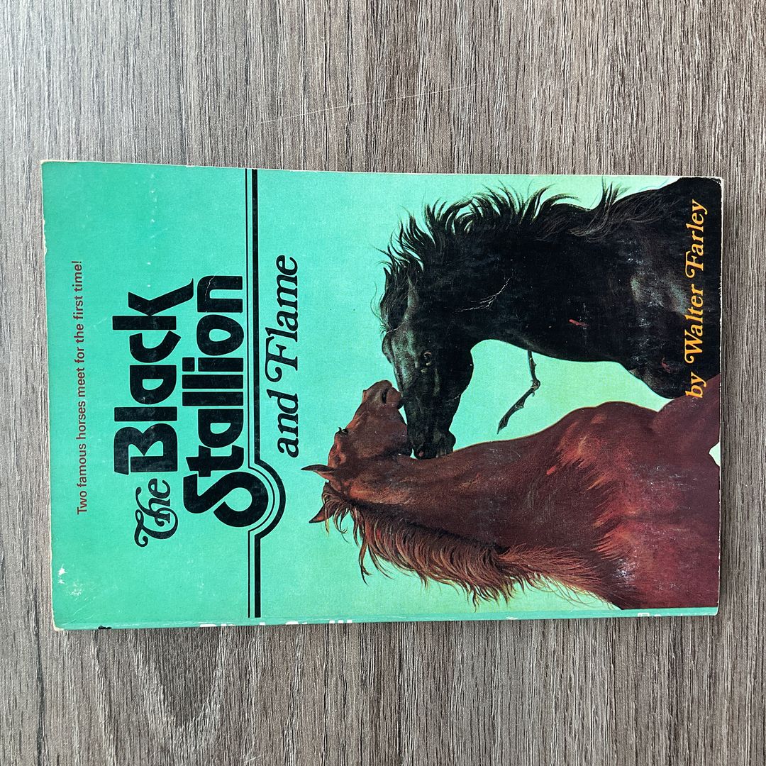 The Black Stallion and Flame