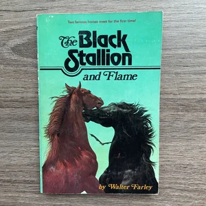 The Black Stallion and Flame