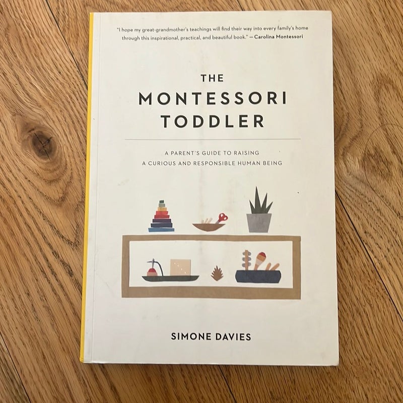 The Montessori Toddler