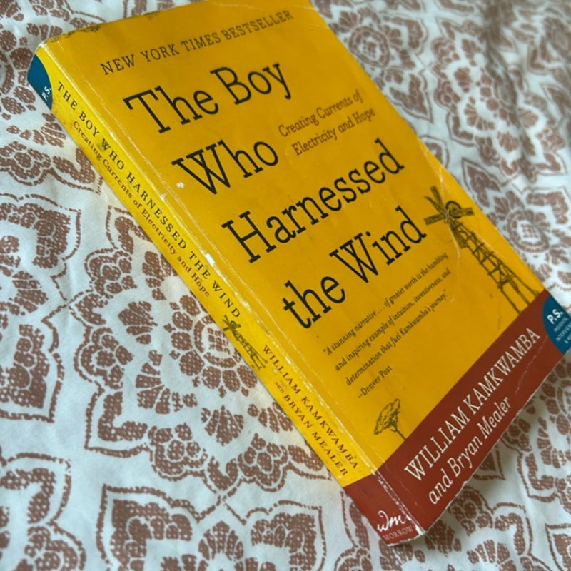 The Boy Who Harnessed the Wind