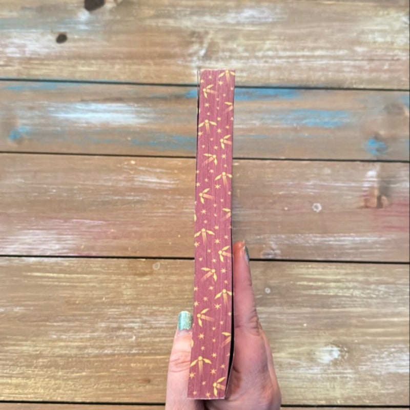 Harry Potter and the Sorcerer's Stone (Stenciled Edges) (Harry Potter, Book 1)