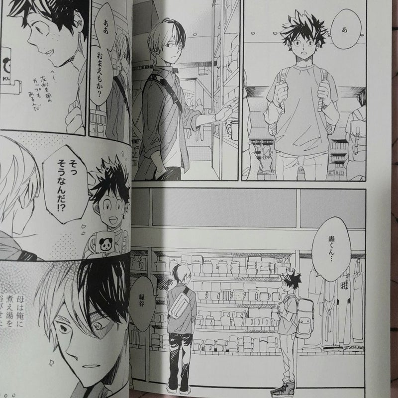 Boku No Hero Academia Doujinshi [Todoroki/Midoriya]