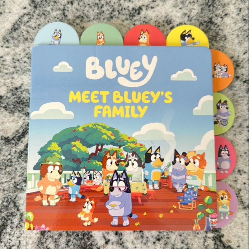 Meet Bluey's Family