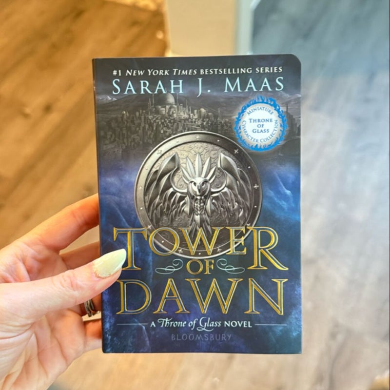 Tower of sold Dawn Miniature Character Collection Sarah J Maas