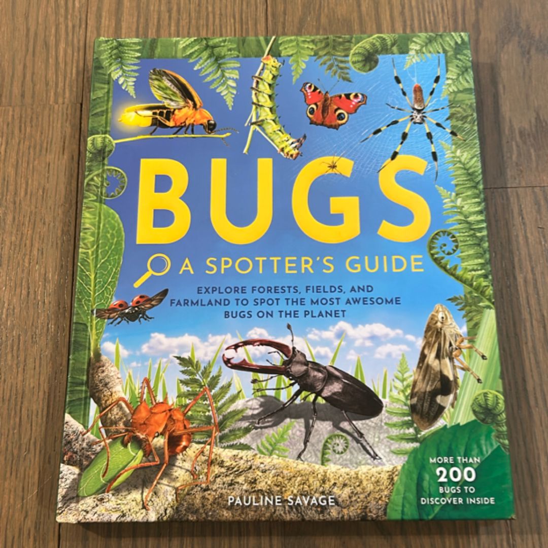Bugs: a Spotter's Guide