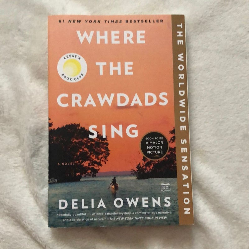 Where the Crawdads Sing