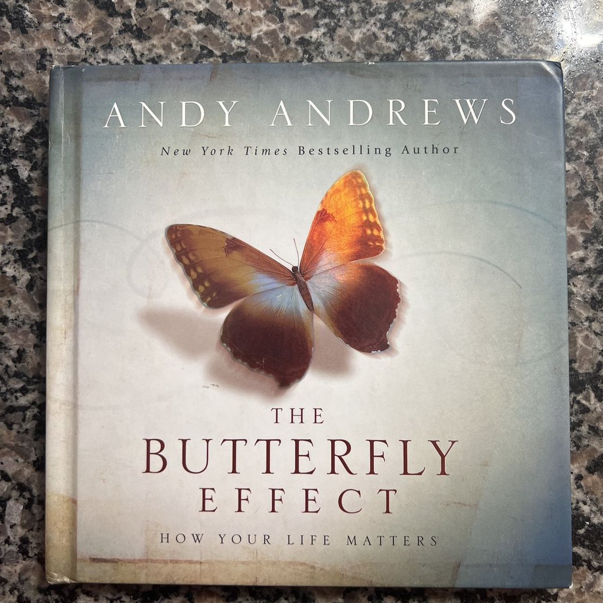 The Butterfly Effect by Andy Andrews