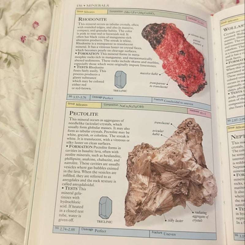 Rocks and Minerals