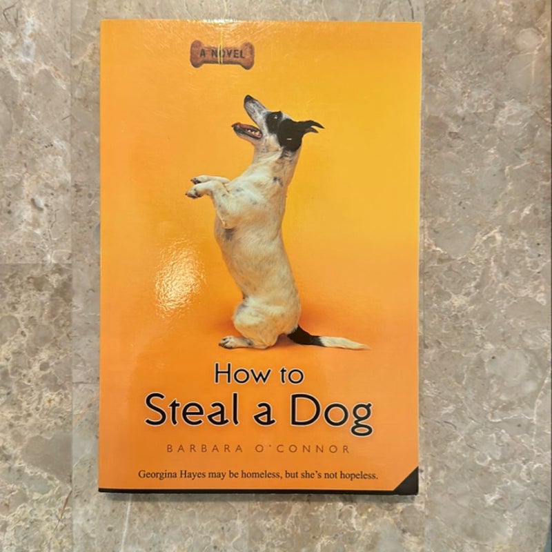 How to Steal a Dog