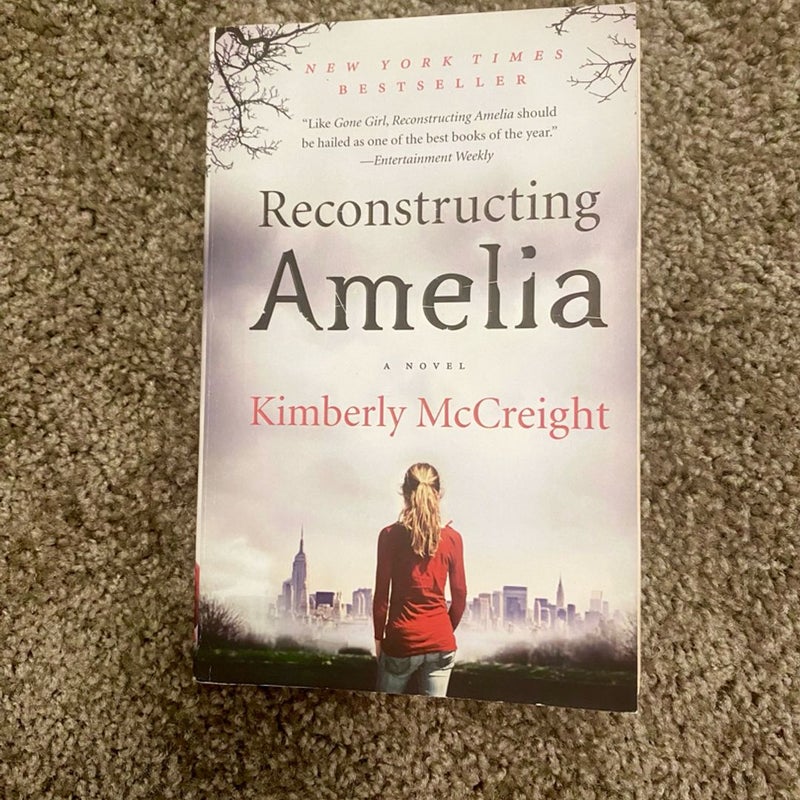 Reconstructing Amelia