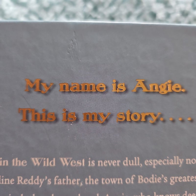 Behind the Masks: The Diary of Angeline Reddy - Bodie, California 1880