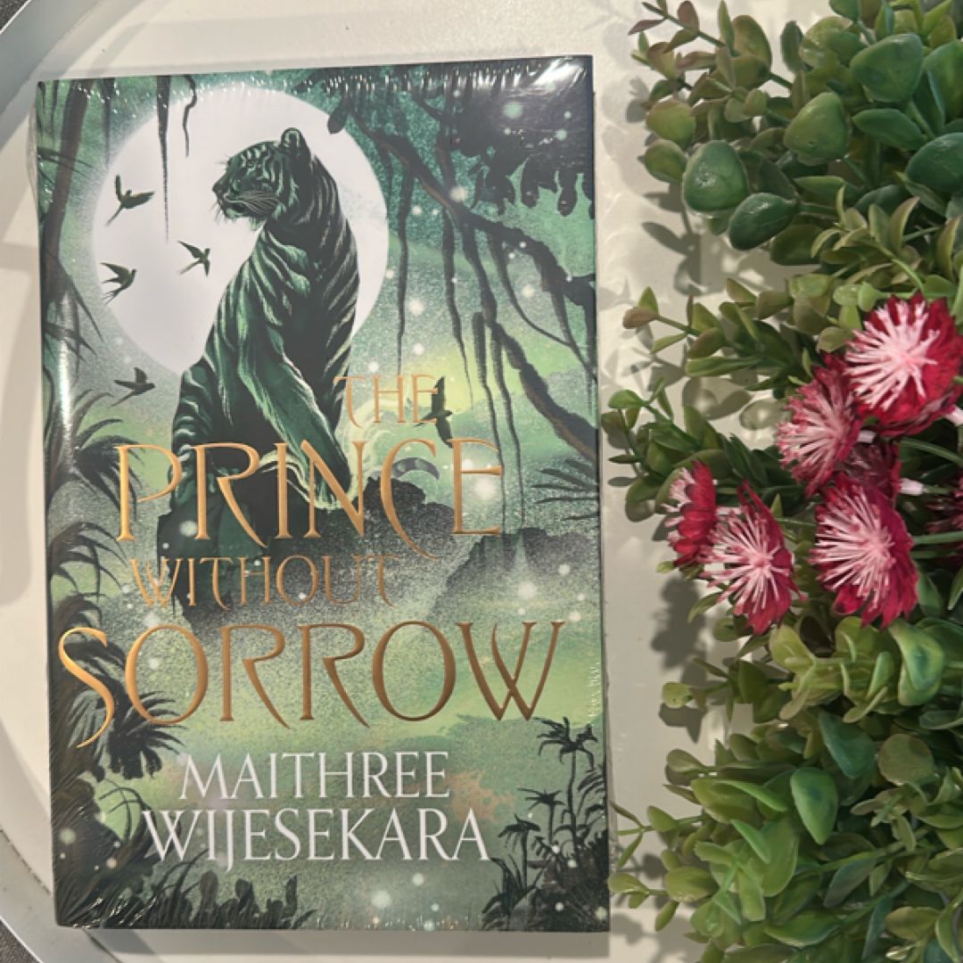 The Prince Without Sorrow