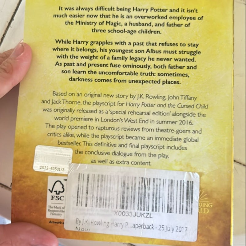 Harry Potter and the Cursed Child - Parts One and Two