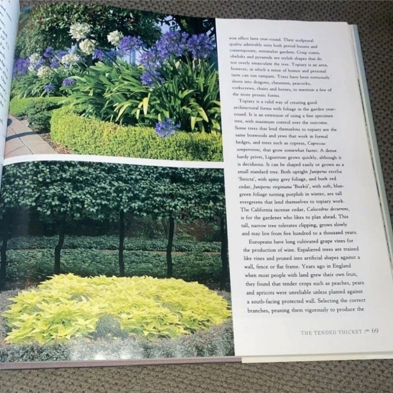 The Foliage Garden
