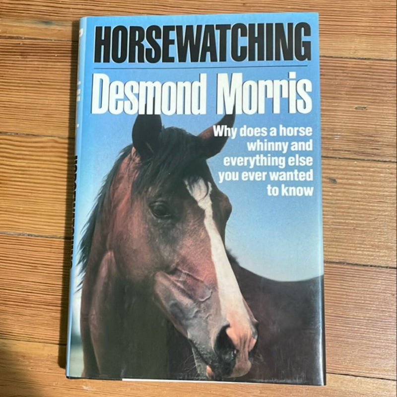 Horsewatching