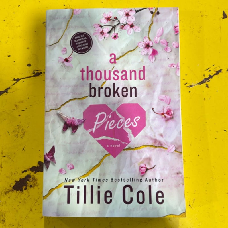 A Thousand Broken Pieces