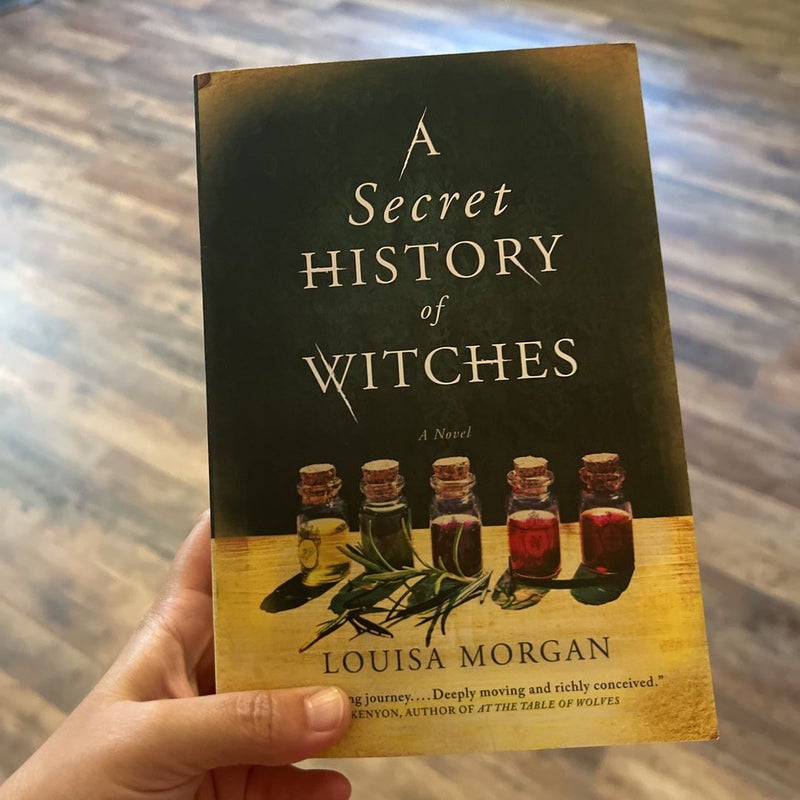 The Age of Witches by Louisa Morgan