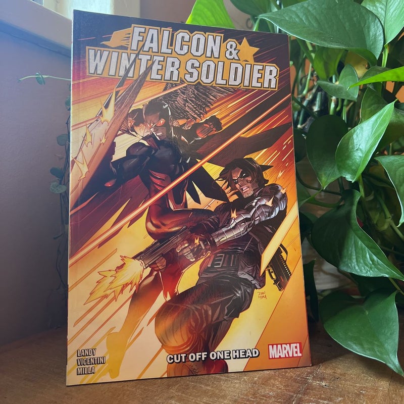 Falcon and Winter Soldier Vol. 1