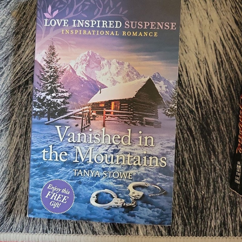 Vanished In the Mountains 