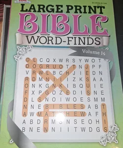 Bible Large print word find