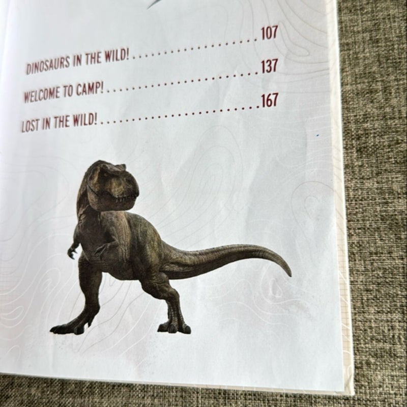 Dinosaurs Let Loose!