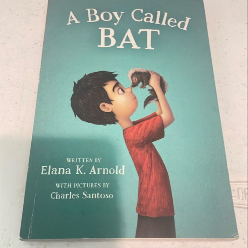 A Boy Called Bat