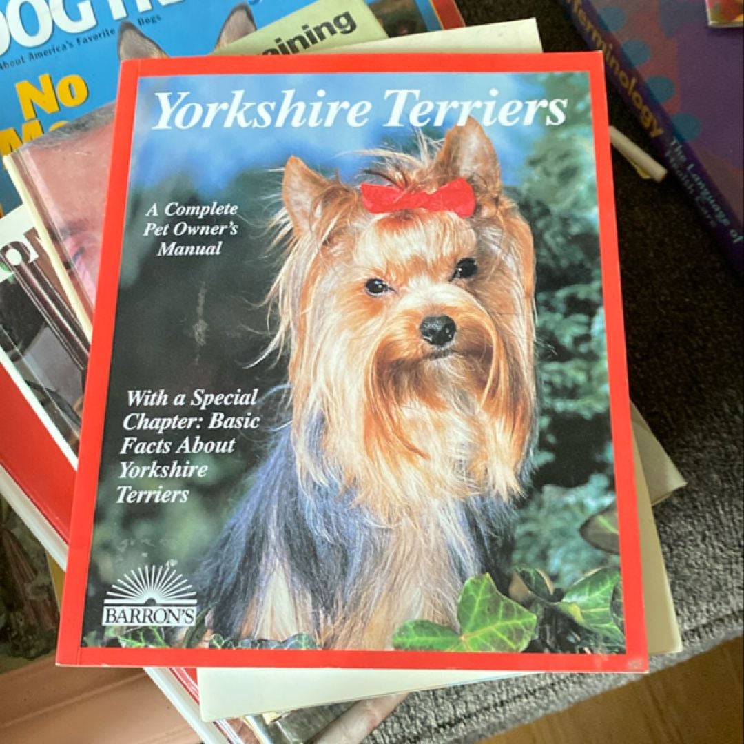 Yorkshire Terriers