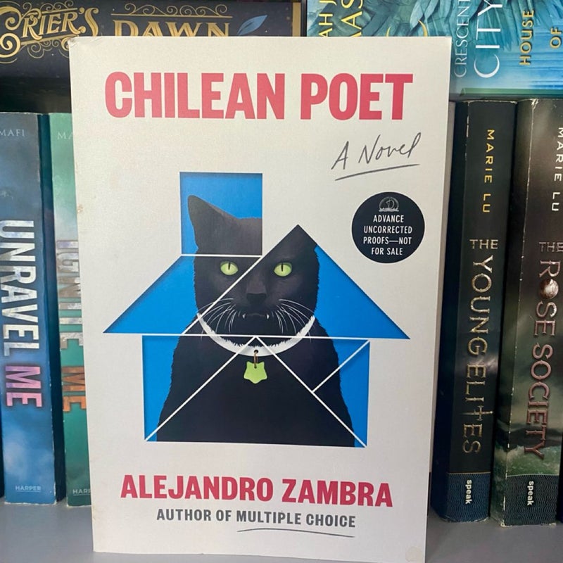 Chilean Poet (ARC)