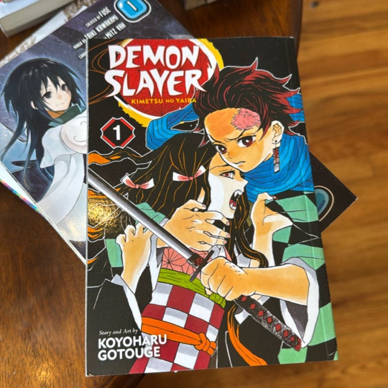 Demon Slayer: Kimetsu No Yaiba, Vol. 1