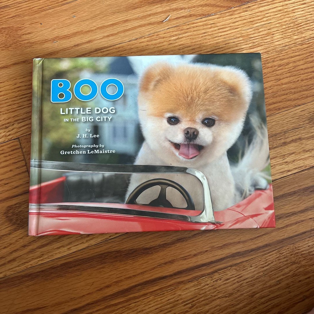 Boo: Little Dog in the Big City by J. H. Lee; Gretchen LeMaistre  (Photographer), Hardcover