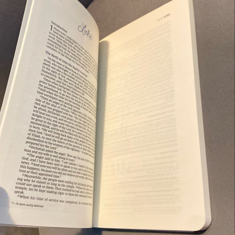 NIV Beautiful Word Bible Journal Luke Edition