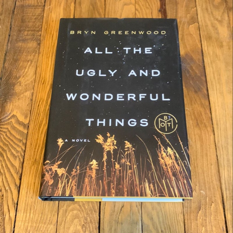 All the Ugly and Wonderful Things