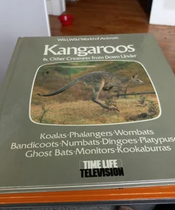 Kangaroos and other creatures from Down Under